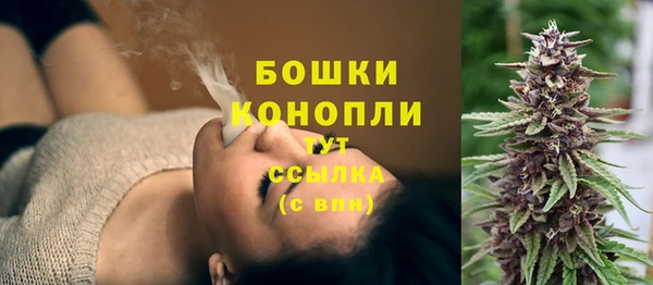 твердый Верхний Тагил