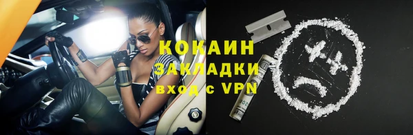 твердый Верхний Тагил