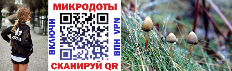 Купить закладки  Невьянск  Псилоцибиновые грибы GOLDEN TEACHER 